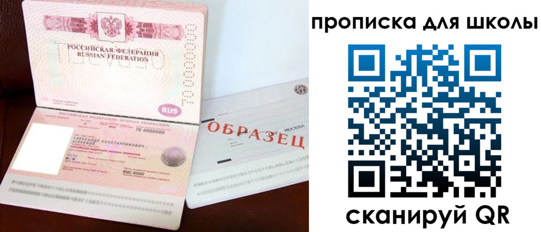 прописка для школы в Видном